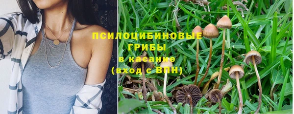 амфетамин Алексин
