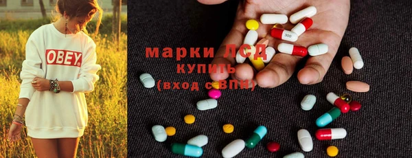 хмурый Алзамай