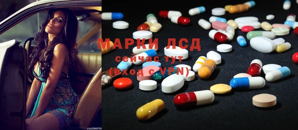хмурый Алзамай