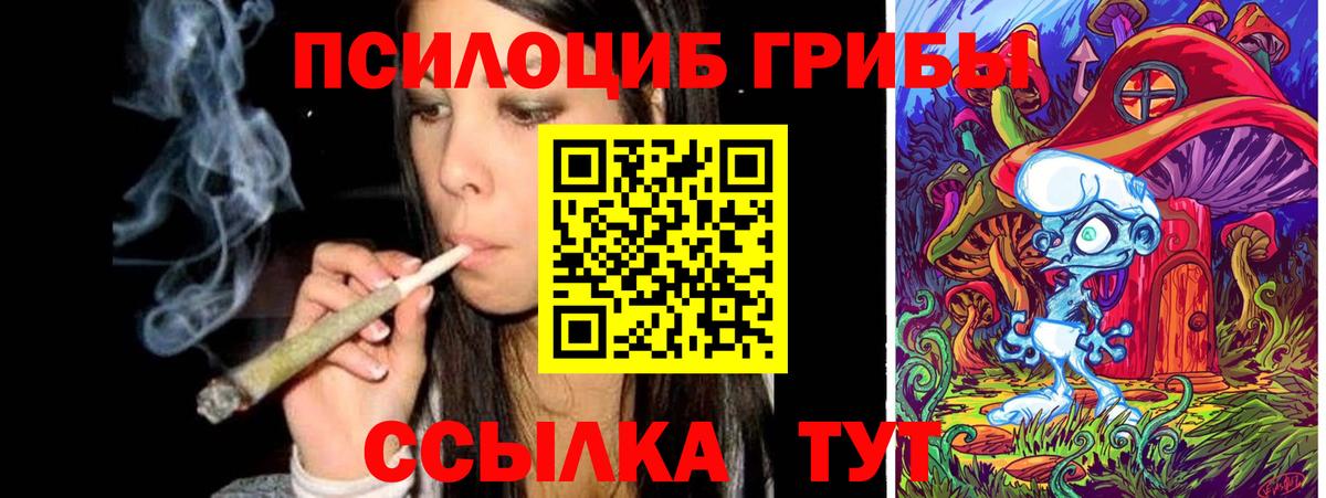 Псилоцибиновые грибы MAGIC MUSHROOMS  Вход с VPN  где можно купить наркотик  Галлюциногенные грибы MAGIC MUSHROOMS  Джанкой 